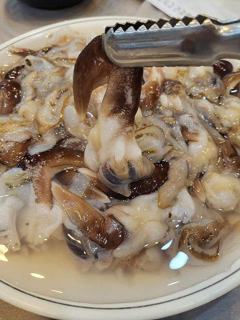 남당항 새조개 맛집 축제 가격 택배 만중이네회수산 내포횟집 전망대회수산 홍성본점 또오리회수산 온누리회수산 동백회수산 남해수산 푸른바다 싱싱바다이야기 이슬네수산 왕언니회수산