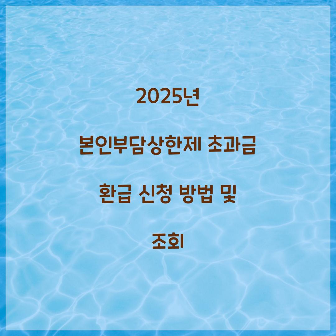 2025년 본인부담상한제 초과금 환급