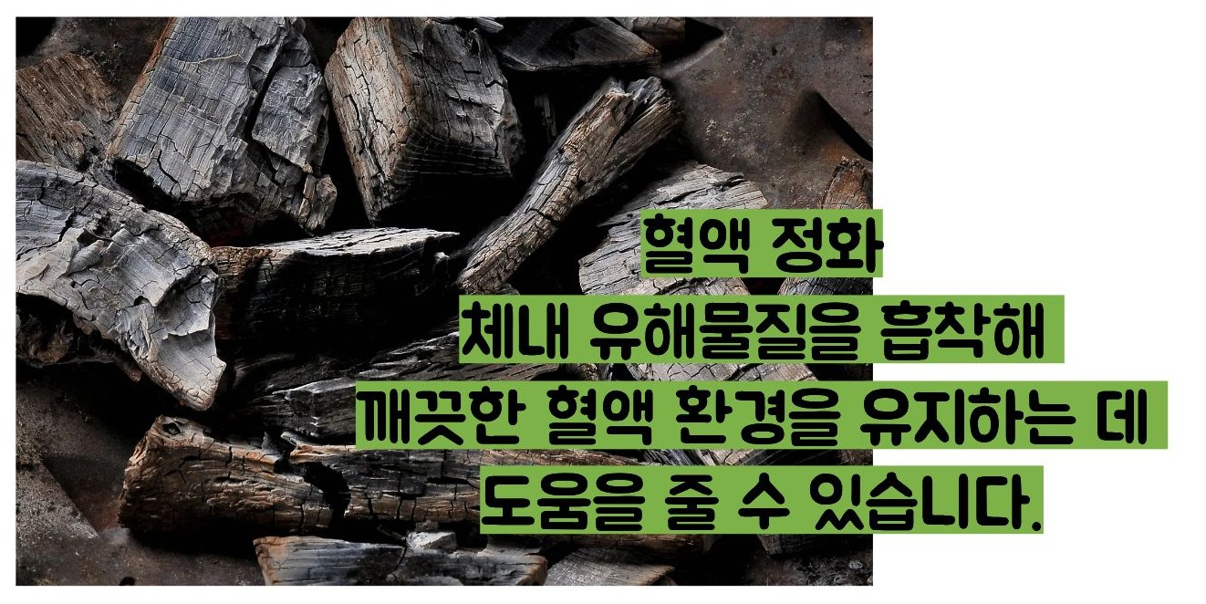 식용숯 효능