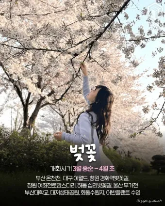 경상도 봄여행 가볼만한곳 베스트 10 완벽 여행 가이드_21