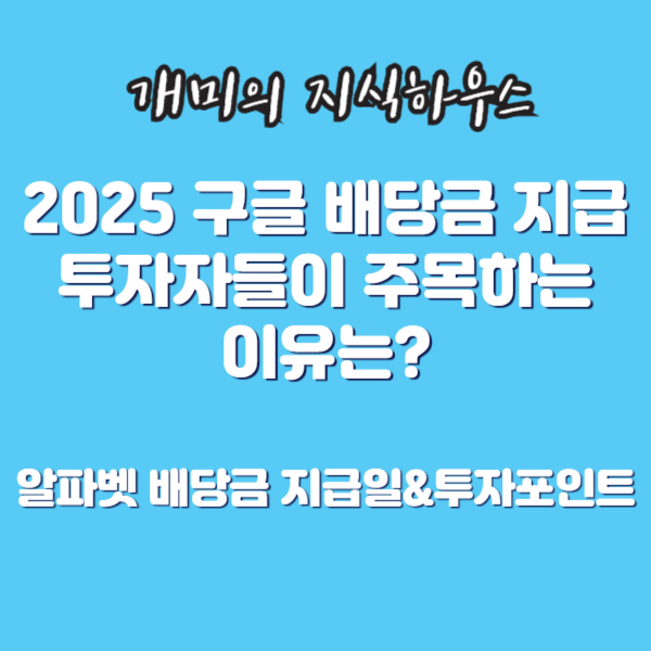 2025 구글배당금지급