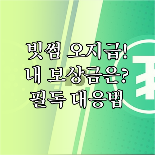 빗썸 오지급 사고 대응 방법과 유형별..
