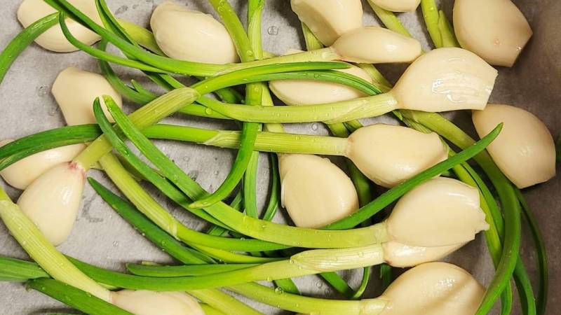 싹난마늘 먹어도될까 새싹마늘 효능 효과