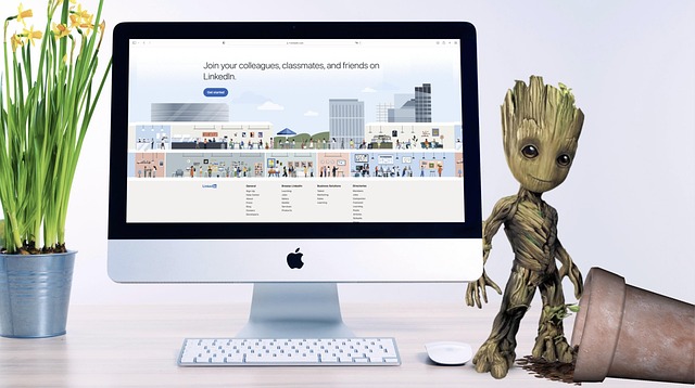 링크드인으로 네트워크가 아닌 비즈니스를 확장하라