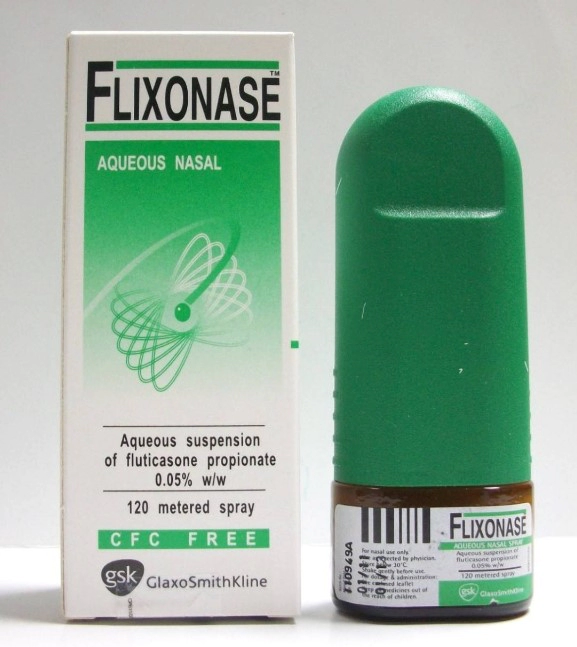 막힌코 스프레이 약 나잘 스프레이, 플로네이즈 센시미스트