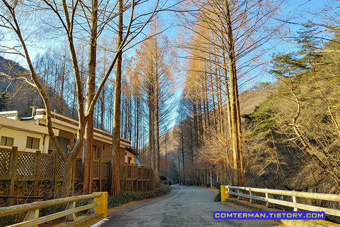 장태산 자연휴양림 골든아워