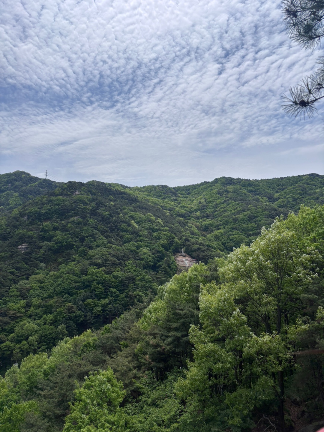 불굴사