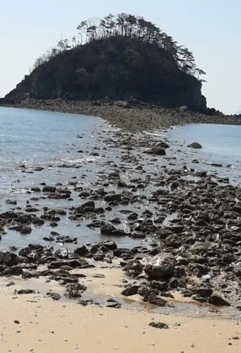 소야도 물때표 여행 낚시 해루질 배편_13