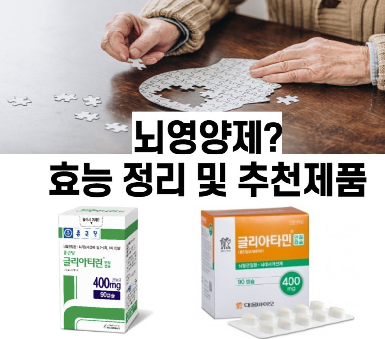 뇌 영양제 추천제품