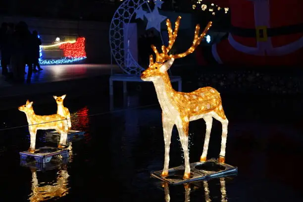 청계천 윈터페스타 인생샷 명소 BEST 5