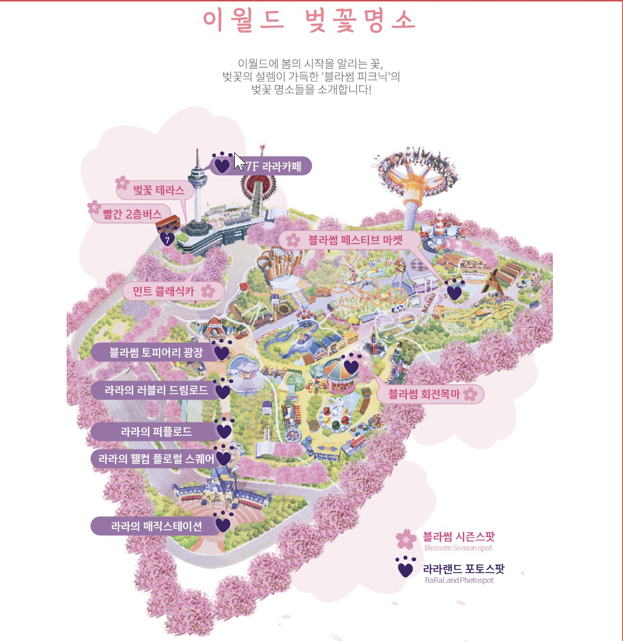 2025년 벚꽃 축제 꽃놀이 미리 준비하자 꼭 가야 하는 봄 축제!! 봄 데이트 꿀팁!!