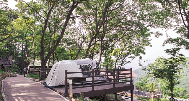 경남 신어산자연숲캠핑장
