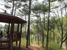 용인자연휴양림
