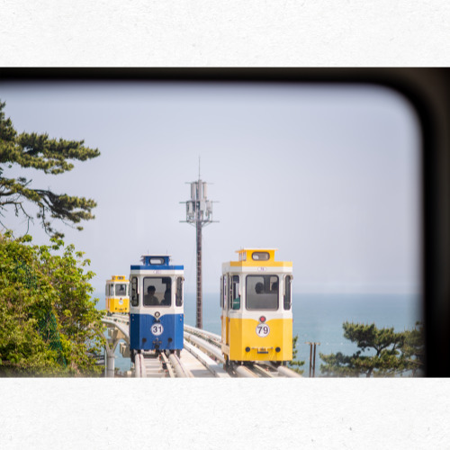 블루라인파크 열차