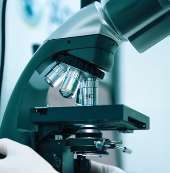 건강 나이 알아보기 대사 나이 계산