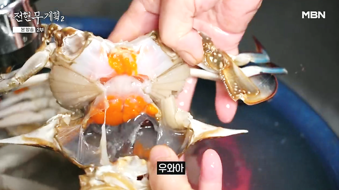 전현무계획2 강화도 꽃게 맛집의 싱싱한 꽃게