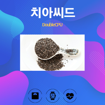 치아씨드 알아보기