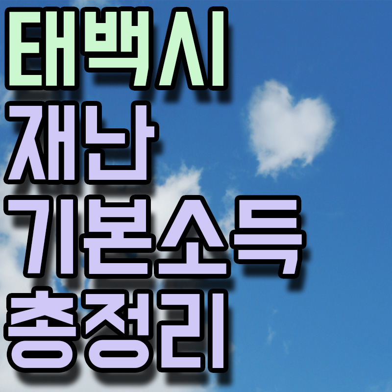 태백시 재난기본소득 총정리 썸네일 이미지