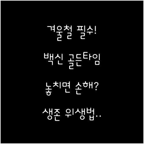 효과적인 겨울철 건강 관리법 독감 백..