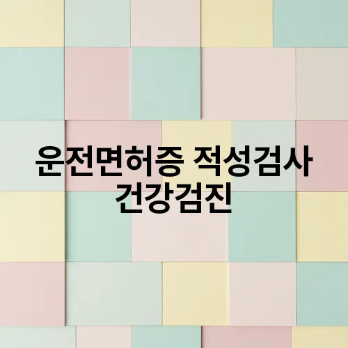 운전면허증 적성검사 건강검진