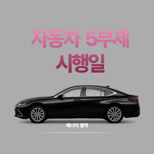 자동차 5부제 시행일 뉴스에 관한 포스팅