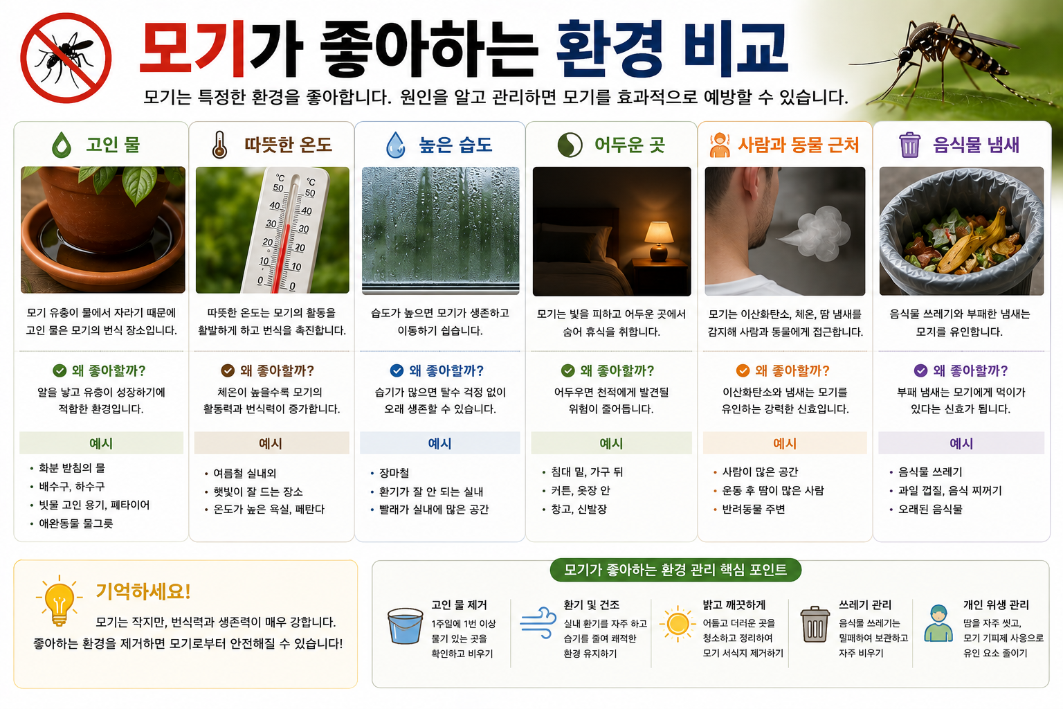 모기가 좋아하는 환경 비교 이미지