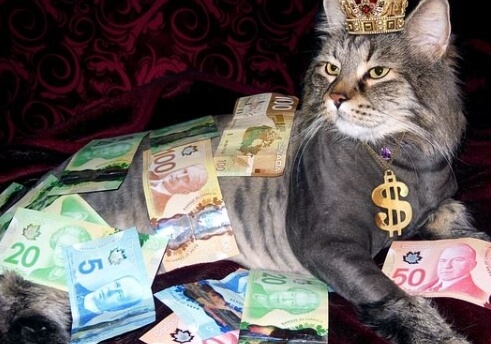 대전청년 주택임차보증금 이자지원 주거비 부담 줄이는방법