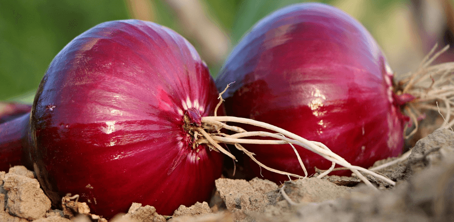 심근경색에 좋은 음식 사진 - 3