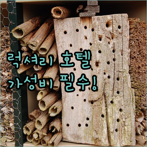 싱가포르 여행 최고의 위치 럭셔리부터..