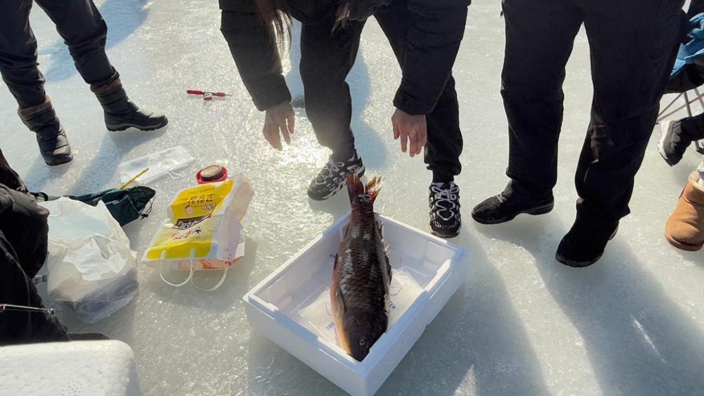 홍천강 꽁꽁축제