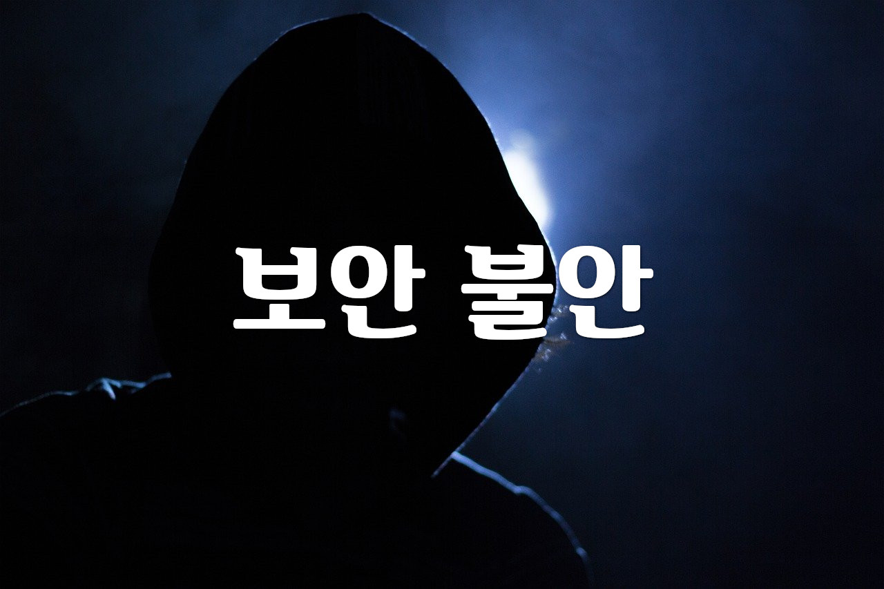 보안 불안