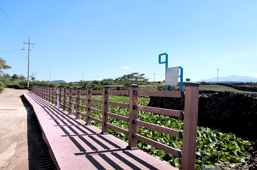 코스 초반 내륙 구간에 위치한 자연 연못 영새생물. 고즈넉한 옛 자연의 본모습을 간직한 쉼터 사진