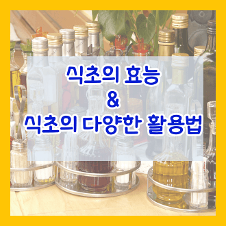 식초의 효능과 식초의 다양한 활용법