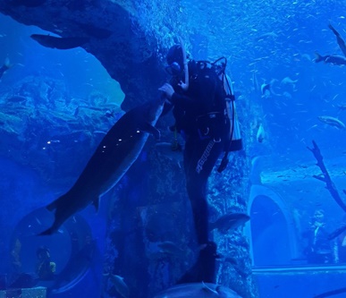 단양다누리아쿠아리움