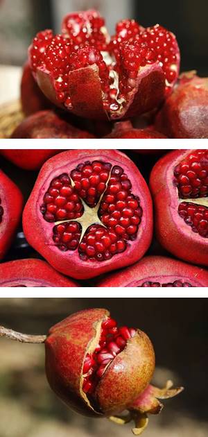 석류_열매