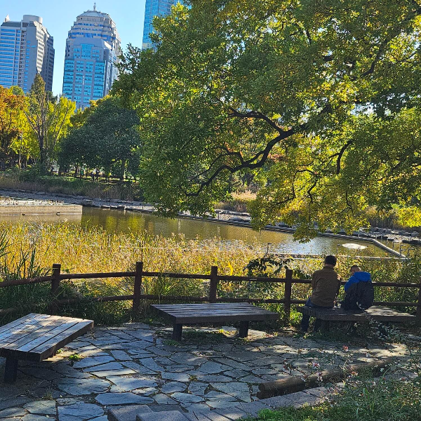 보라매공원-음악분수연못