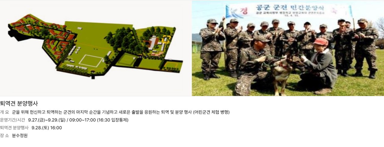 국군의 날 임시 공휴일 지정과 숙박 세일 페스타 쿠폰 발급