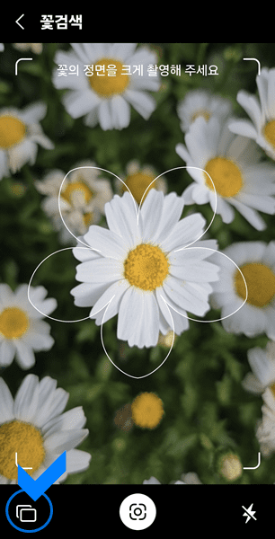 꽃촬영 카메라 왼쪽 사각형 모양