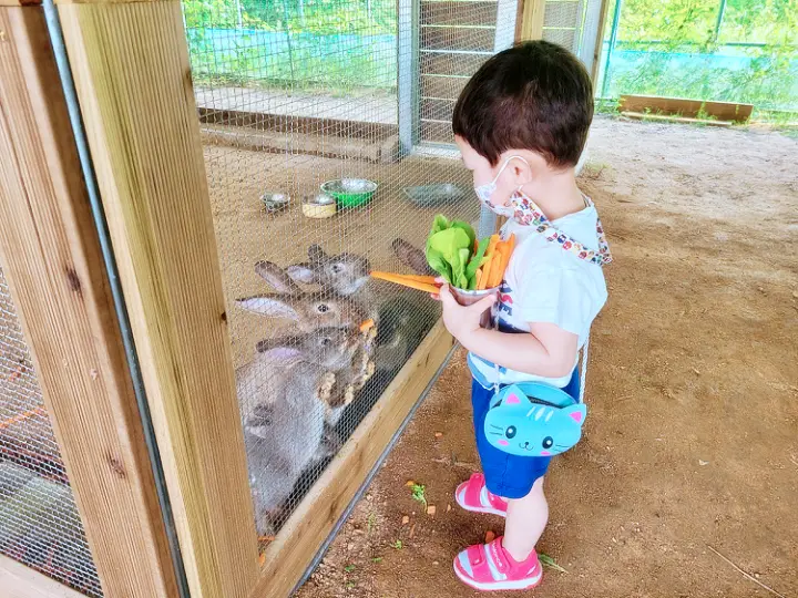 생방송오늘저녁 여주 이천 가볼만한 동물체험 고양이 카페 동물농장