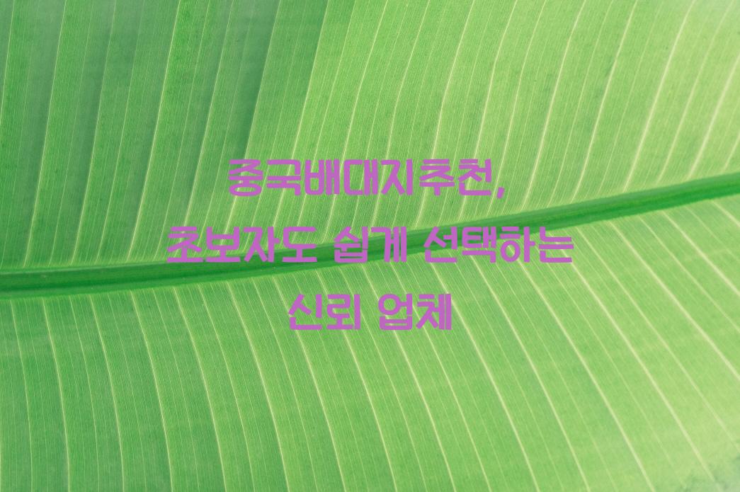 중국배대지추천