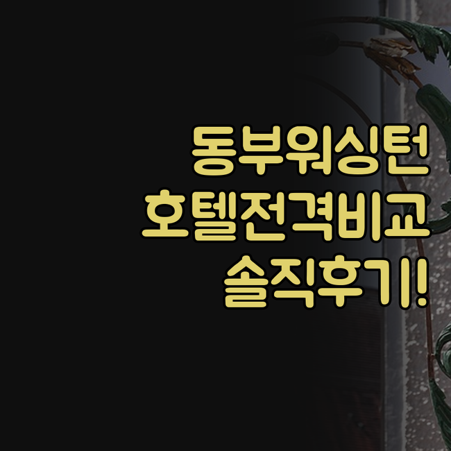 워싱턴 동부 호텔 베스트웨스턴 데이즈..