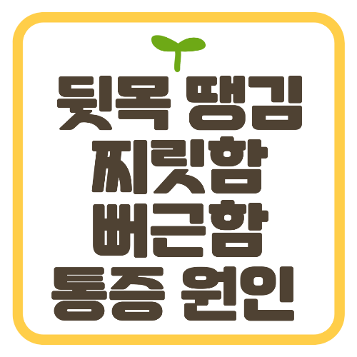 뒷목 땡김 찌릿함 뻐근함 통증 원인 해결 방법