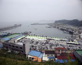 서천 홍원항 자연산 전어 꽃게 축제_3