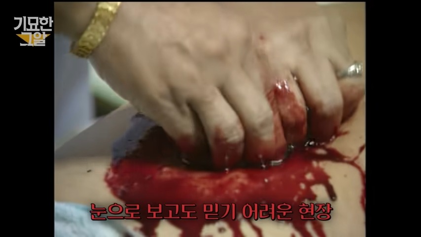 꼬꼬무 그알 준 라보