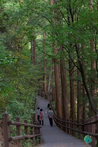걷기좋은 숲길 50 서울 전남 경북_4