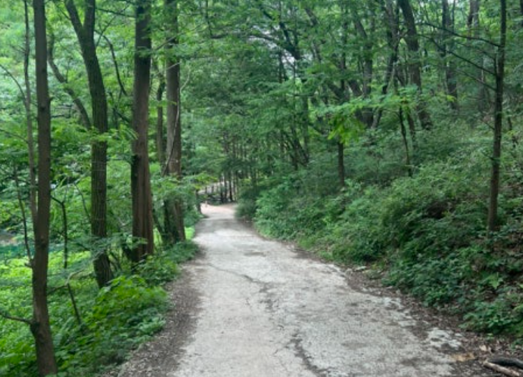 청계산 등산코스