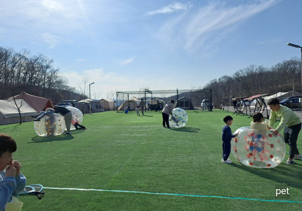 경기-연천-달그린-캠프-예약-방법-애견-동반-가격-주소-시간-후기