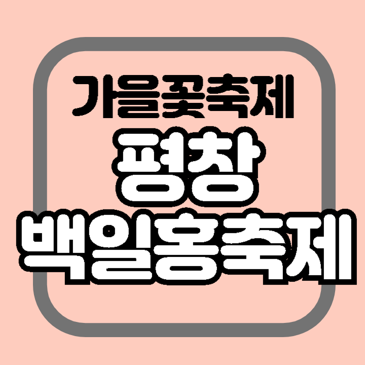 평창 백일홍 축제 기간 행사 내용 프로그램 장소 주소