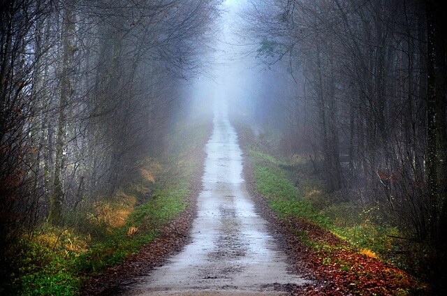 말라리아 증상 말라리아 모기 예방접종