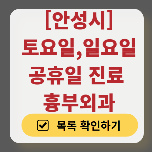 안성시 주말 토요일 일요일 흉부외과 진료 병원 목록 ❘ 공휴일 진료 영업 병원 리스트 찾기